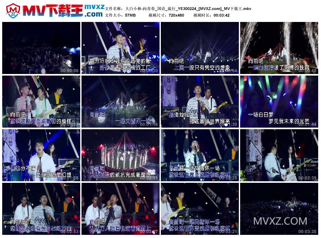 大白小林-向青春_国语_流行_YE300224